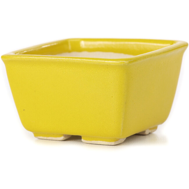 Vierkante gele bonsaipot van Seto - 80 x 80 x 45 mm
