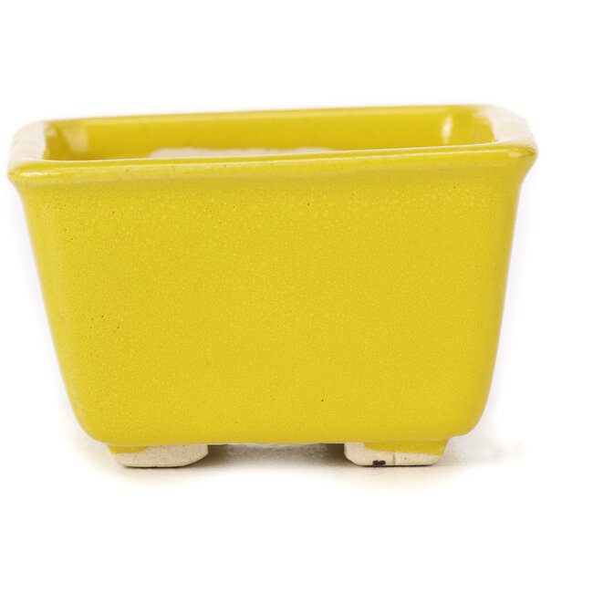 Vaso bonsai quadrato giallo di Seto - 80 x 80 x 45 mm