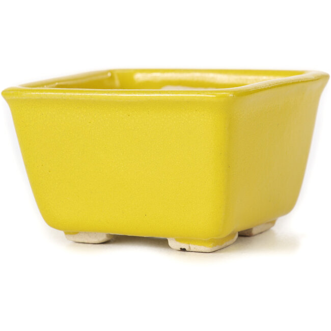 Vaso bonsai quadrato giallo di Seto - 80 x 80 x 45 mm