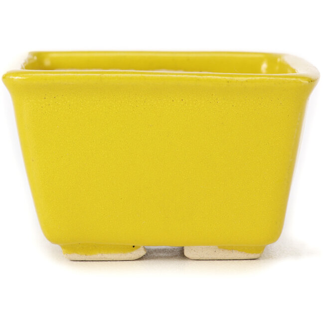 Quadratische gelbe Bonsaischale von Seto - 80 x 80 x 45 mm