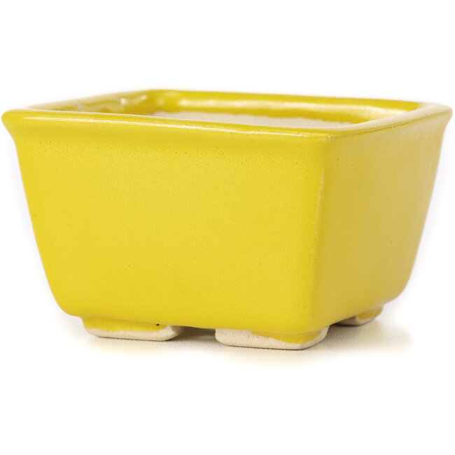 Maceta de bonsái amarilla cuadrada de Seto - 80 x 80 x 45 mm