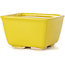 Maceta de bonsái amarilla cuadrada de Seto - 80 x 80 x 45 mm