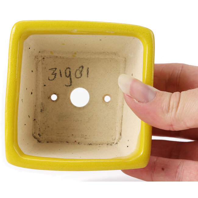 Vaso bonsai quadrato giallo di Seto - 80 x 80 x 45 mm