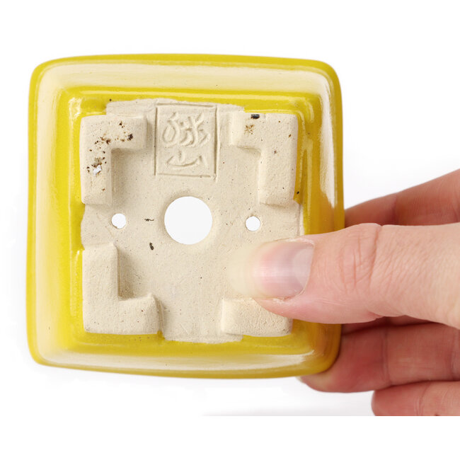 Maceta de bonsái amarilla cuadrada de Seto - 80 x 80 x 45 mm