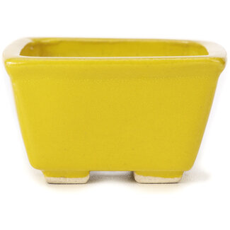 Seto 85 mm square yellow bonsai pot by Seto, Japan