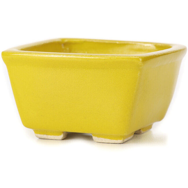Maceta de bonsái amarilla cuadrada de Seto - 85 x 85 x 50 mm