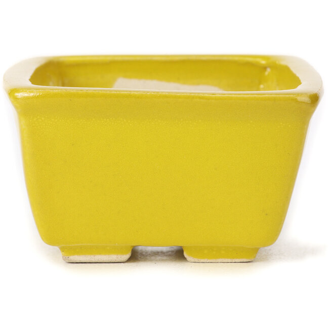 Pot à bonsaï carré jaune par Seto - 85 x 85 x 50 mm