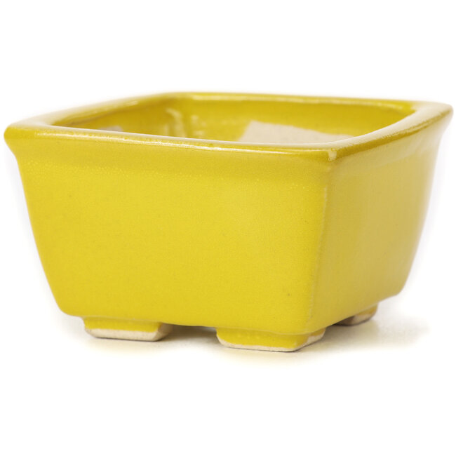 Quadratische gelbe Bonsaischale von Seto - 85 x 85 x 50 mm