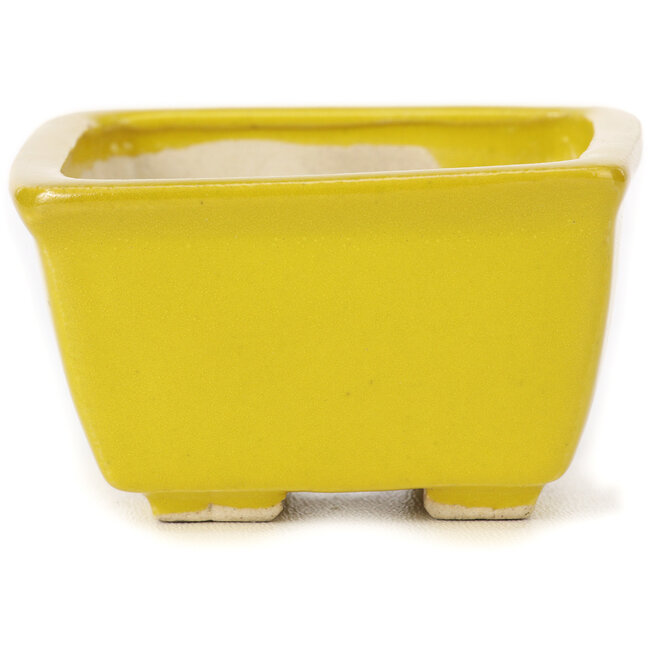 Vaso bonsai quadrato giallo di Seto - 85 x 85 x 50 mm