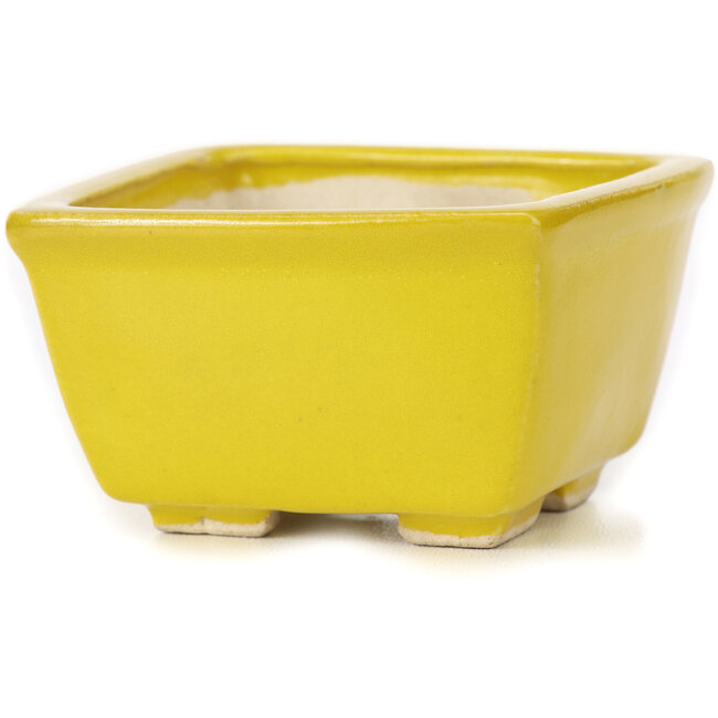 Maceta de bonsái amarilla cuadrada de Seto - 85 x 85 x 50 mm