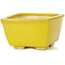 Pot à bonsaï carré jaune par Seto - 85 x 85 x 50 mm