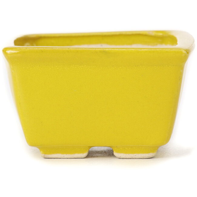 Quadratische gelbe Bonsaischale von Seto - 85 x 85 x 50 mm