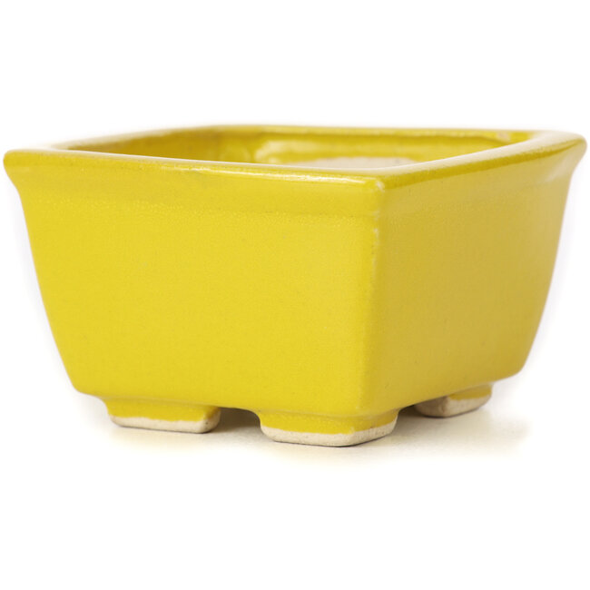 Vaso bonsai quadrato giallo di Seto - 85 x 85 x 50 mm