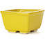 Vaso bonsai quadrato giallo di Seto - 85 x 85 x 50 mm