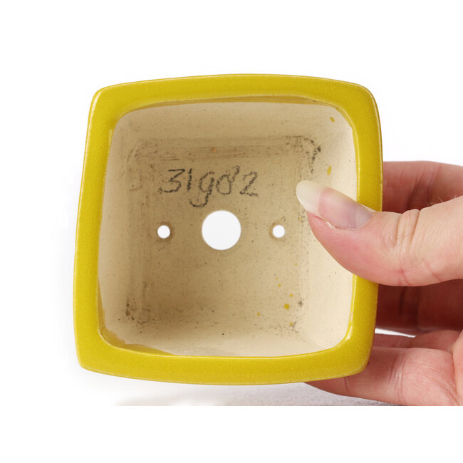 Quadratische gelbe Bonsaischale von Seto - 85 x 85 x 50 mm