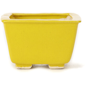 Seto Pot à bonsaï jaune carré de 85 mm par Seto, Japon