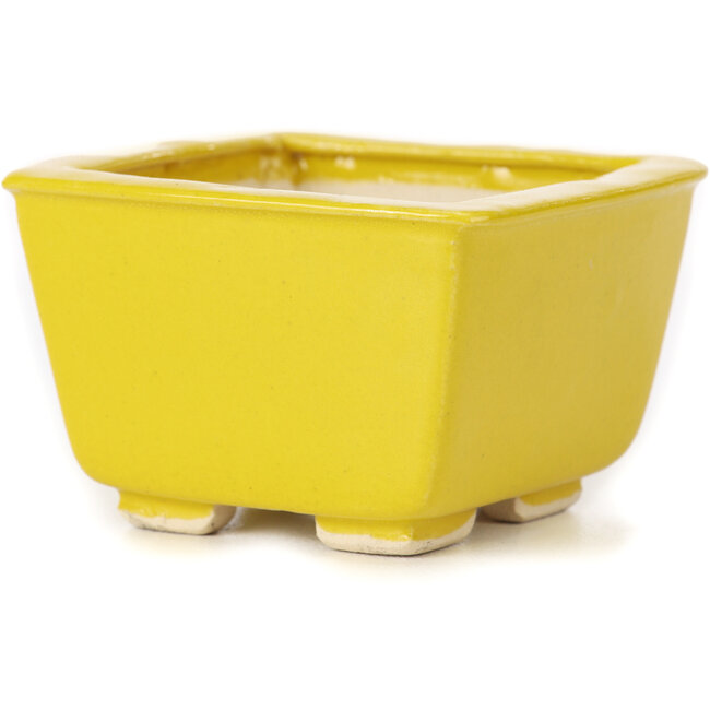 Maceta de bonsái amarilla cuadrada de Seto - 85 x 85 x 50 mm