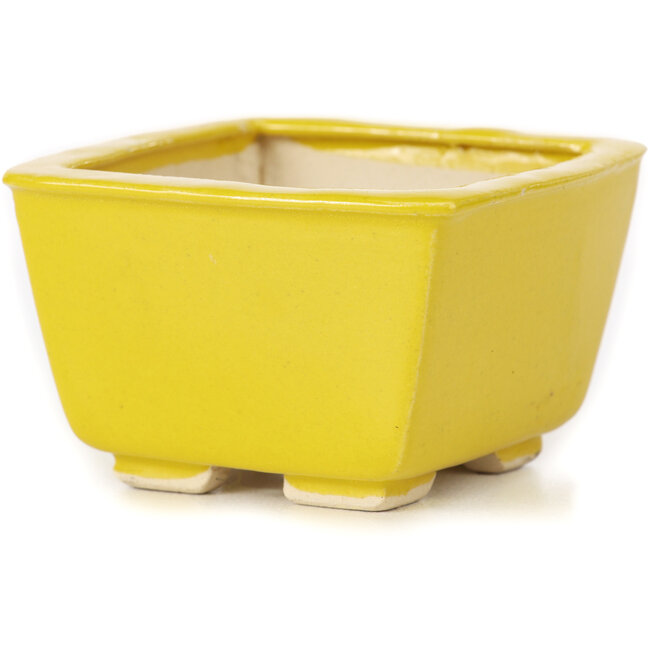 Vaso bonsai quadrato giallo di Seto - 85 x 85 x 50 mm