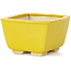 Maceta de bonsái amarilla cuadrada de Seto - 85 x 85 x 50 mm