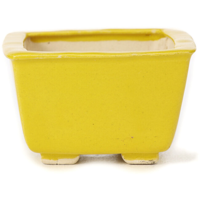Quadratische gelbe Bonsaischale von Seto - 85 x 85 x 50 mm