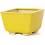 Maceta de bonsái amarilla cuadrada de Seto - 85 x 85 x 50 mm