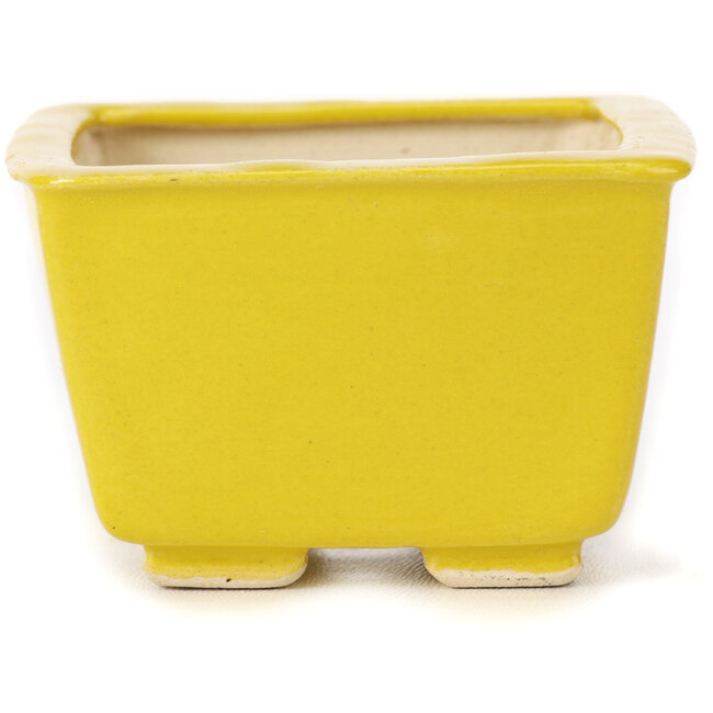 Square yellow bonsai pot by Seto - 85 x 85 x 50 mm