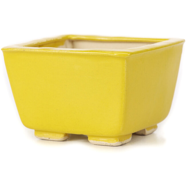 Pot à bonsaï carré jaune par Seto - 85 x 85 x 50 mm