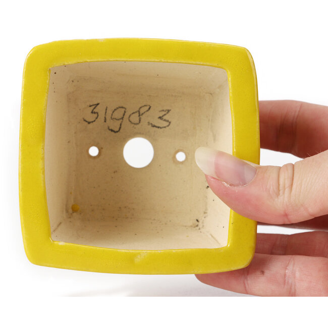 Pot à bonsaï carré jaune par Seto - 85 x 85 x 50 mm