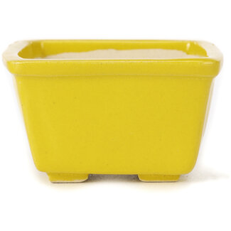 Seto 85 mm square yellow bonsai pot by Seto, Japan