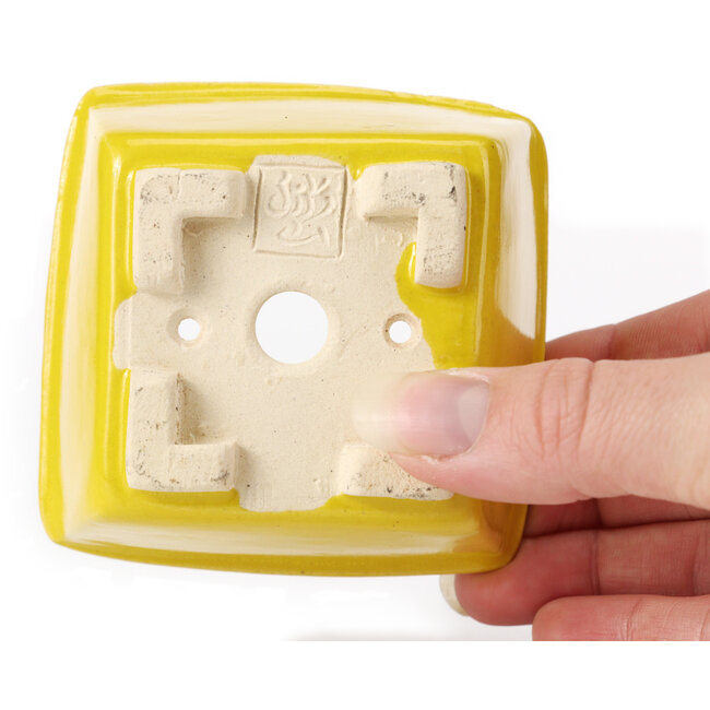 Pot à bonsaï carré jaune par Seto - 85 x 85 x 50 mm