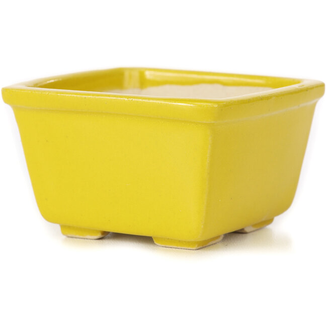 Vierkante gele bonsaipot van Seto - 85 x 85 x 50 mm