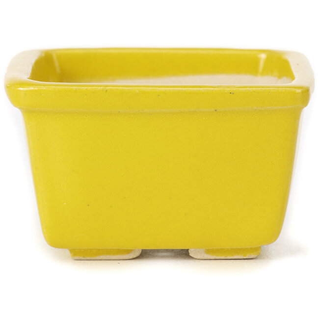 Vierkante gele bonsaipot van Seto - 85 x 85 x 50 mm