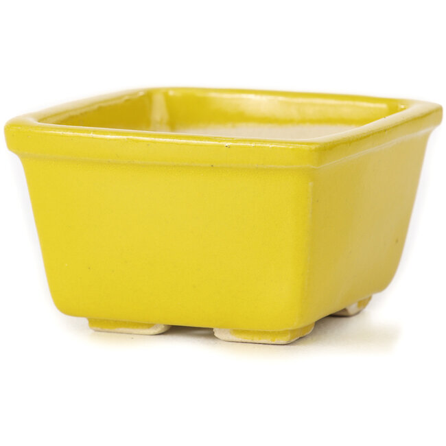 Pot à bonsaï carré jaune par Seto - 85 x 85 x 50 mm
