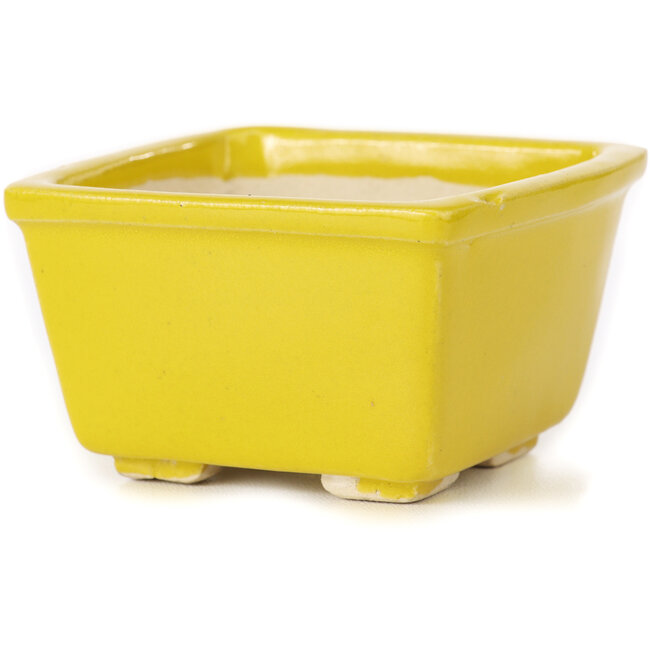 Vierkante gele bonsaipot van Seto - 85 x 85 x 50 mm