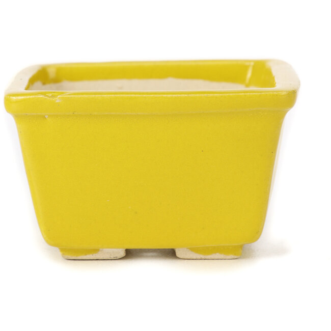 Vierkante gele bonsaipot van Seto - 85 x 85 x 50 mm
