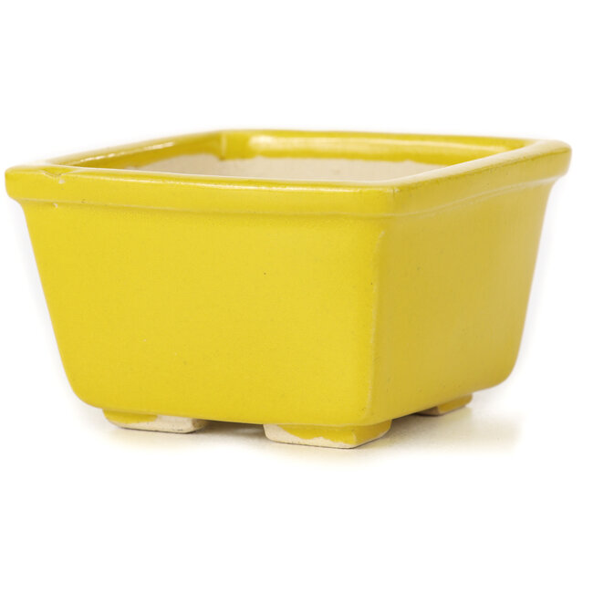 Pot à bonsaï carré jaune par Seto - 85 x 85 x 50 mm