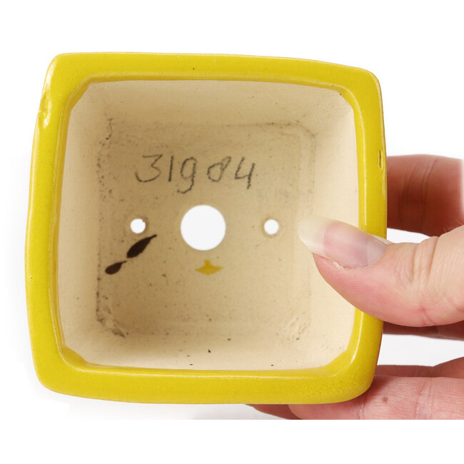 Square yellow bonsai pot by Seto - 85 x 85 x 50 mm
