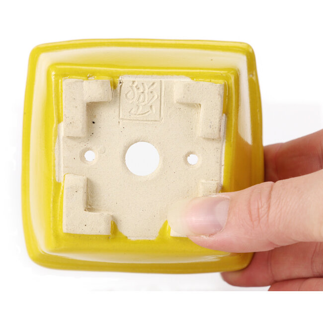Pot à bonsaï carré jaune par Seto - 85 x 85 x 50 mm
