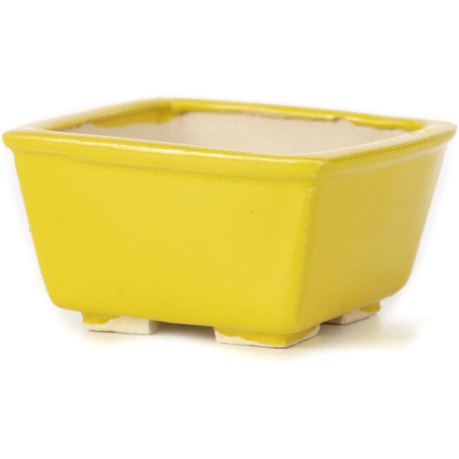 Square yellow bonsai pot by Seto - 85 x 85 x 45 mm