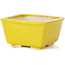 Pot à bonsaï carré jaune par Seto - 85 x 85 x 45 mm