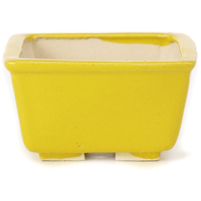 Pot à bonsaï carré jaune par Seto - 85 x 85 x 45 mm