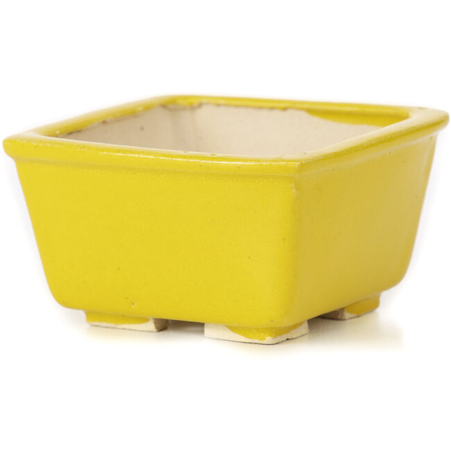 Pot à bonsaï carré jaune par Seto - 85 x 85 x 45 mm