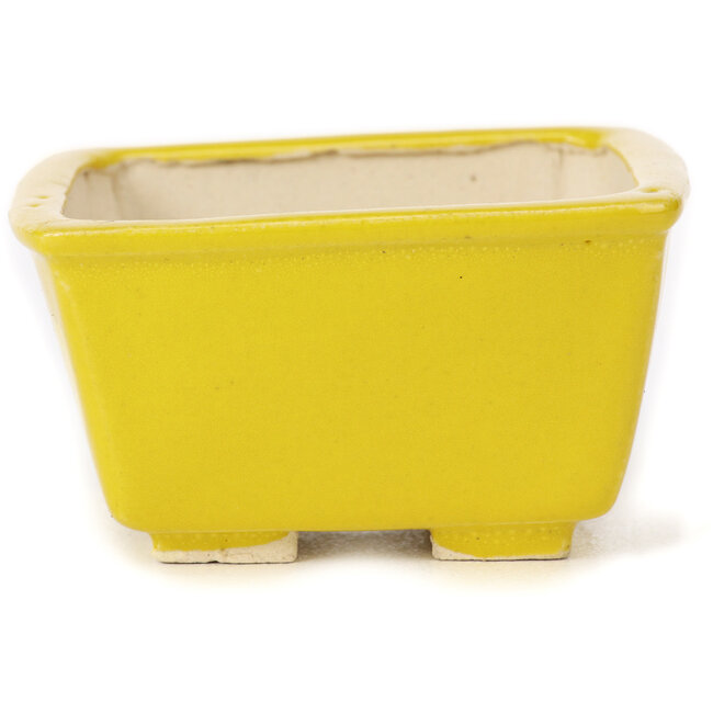 Maceta de bonsái amarilla cuadrada de Seto - 85 x 85 x 45 mm
