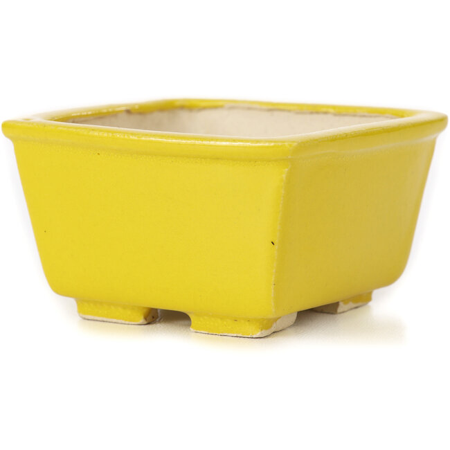 Quadratische gelbe Bonsaischale von Seto - 85 x 85 x 45 mm