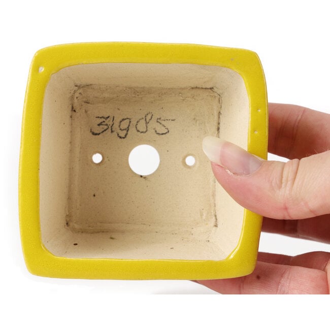 Pot à bonsaï carré jaune par Seto - 85 x 85 x 45 mm