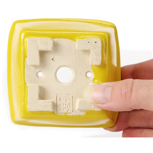 Pot à bonsaï carré jaune par Seto - 85 x 85 x 45 mm
