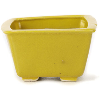 Seto 85 mm square yellow bonsai pot by Seto, Japan