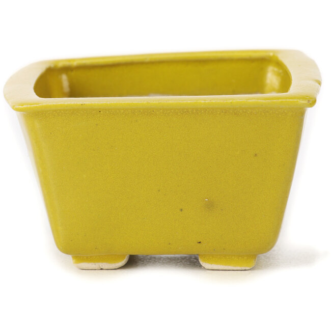 Square yellow bonsai pot by Seto - 85 x 85 x 50 mm