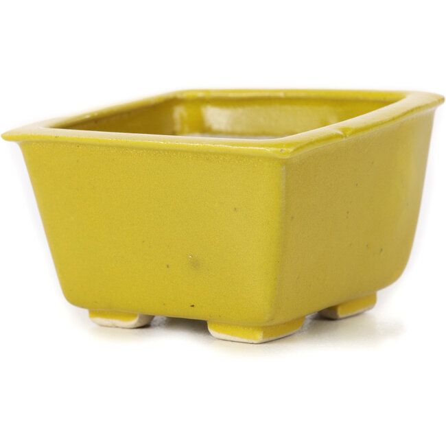 Maceta de bonsái amarilla cuadrada de Seto - 85 x 85 x 50 mm