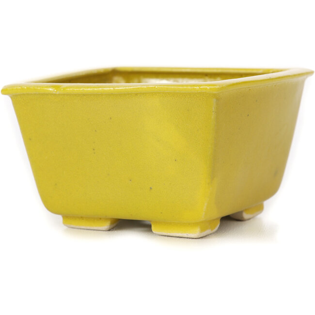 Quadratische gelbe Bonsaischale von Seto - 85 x 85 x 50 mm